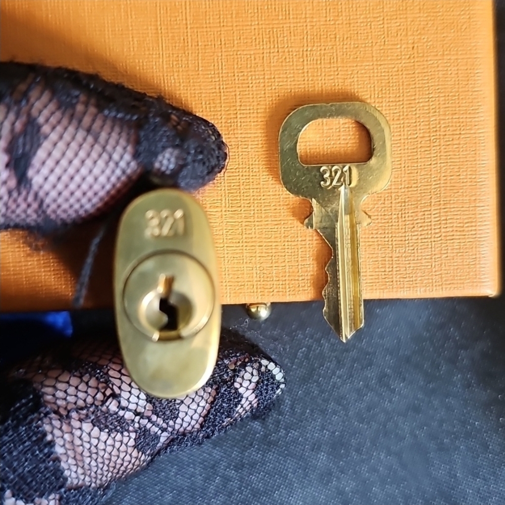 #321 LV Lock and Key 🔐 - Picture 9 of 10